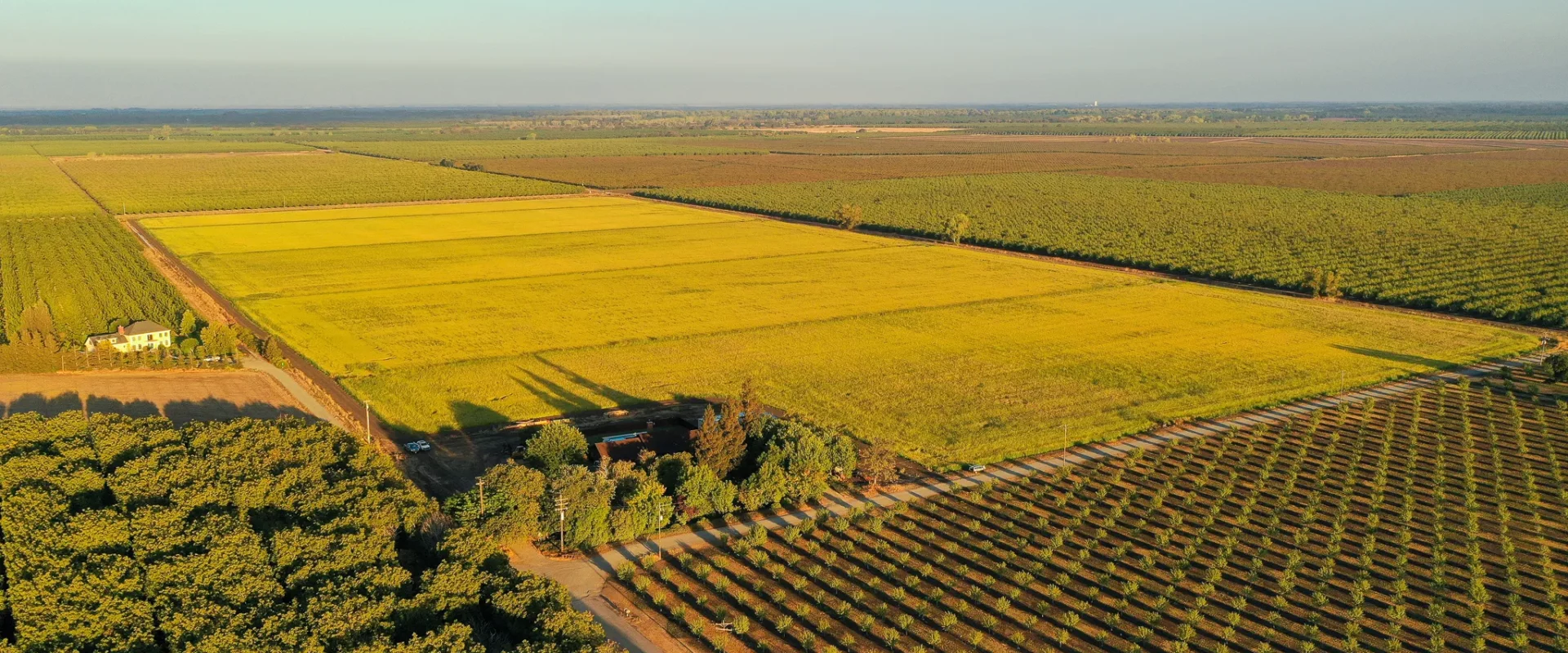 Large Field of Raw Land