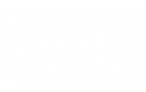 Google-Five-Stars-white-logo