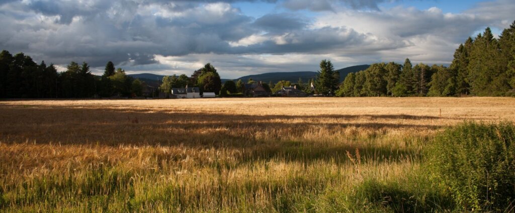 Buy Investment Land