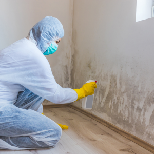 Sell a House Fast With Mold in Portland
