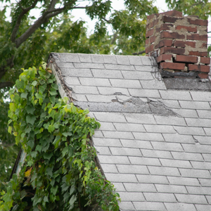Selling a Property in Bad Condition