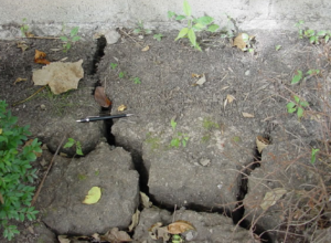 How often to water foundation Texas?