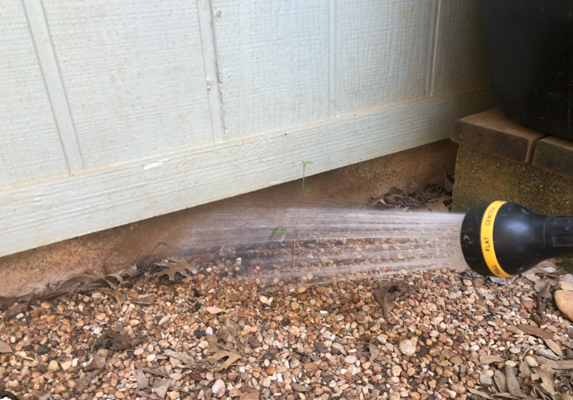 Should you water your foundation in Texas?