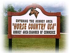 sell my house fast in aubrey