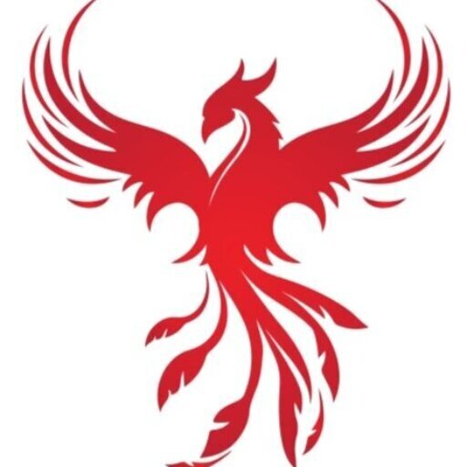 Our Company Phoenix Property Ventures, LLC.