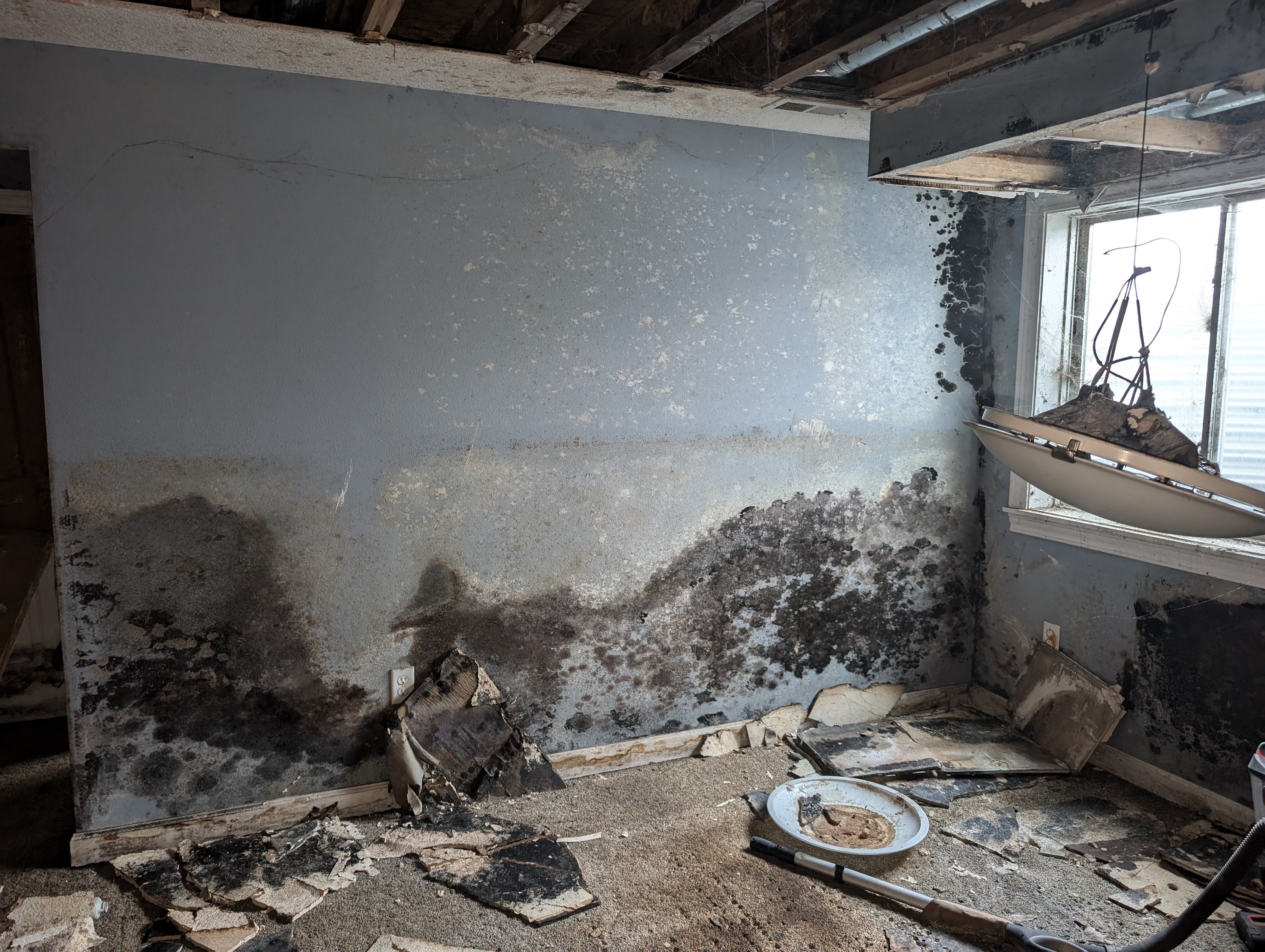 This townhome property suffered a severe mold infestation.