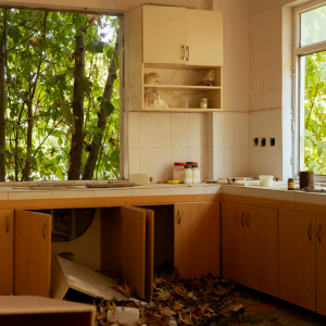 Property Affected by Tenant Damage In Oregon