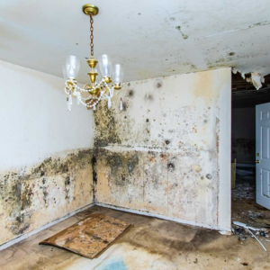 Selling a House Affected by Water Damage In Ohio