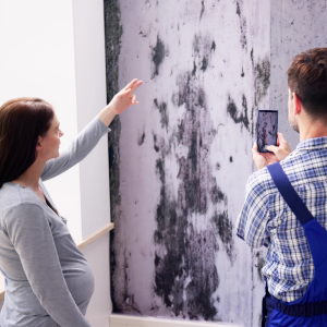 Sell Fast With Mold Cleveland