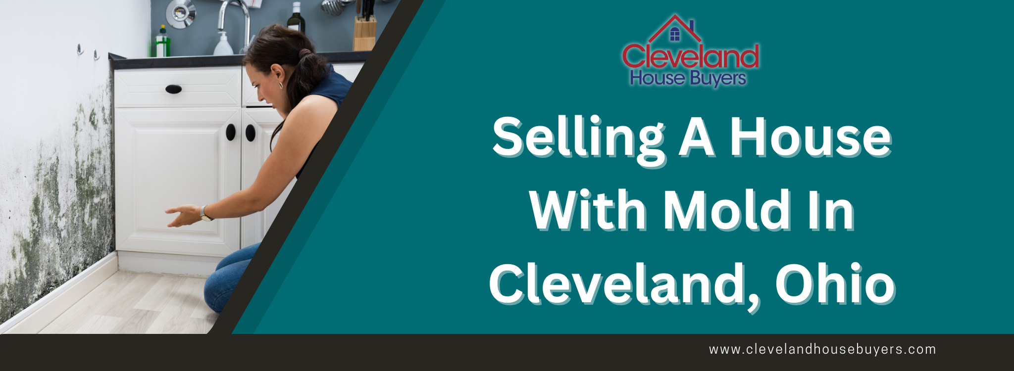 Selling A House With Mold In Cleveland, Ohio BANNER Cleveland