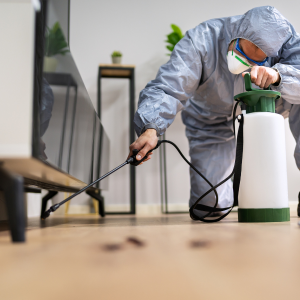 Selling a House With a Termite Problem In Cleveland