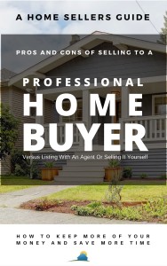 selling-to-a-professional