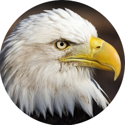 Land For Sale Lead Page EagleView Land Sales