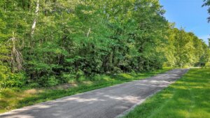 Brush Creek Rd Lawrence County TN 01