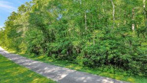 TN-Lawrence Brush Creek Rd 02