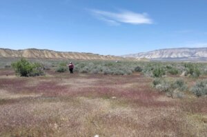 4.4 acres near Dinosaur National Monument 13