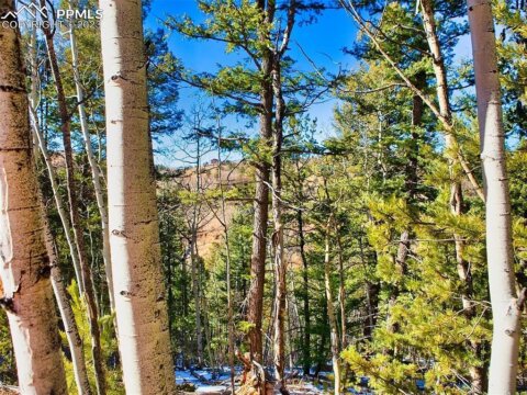 2.3 Acres Wooded Land Near Cripple Creek CO | Teller County | Image 04