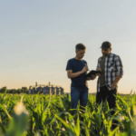 market farmland in florida