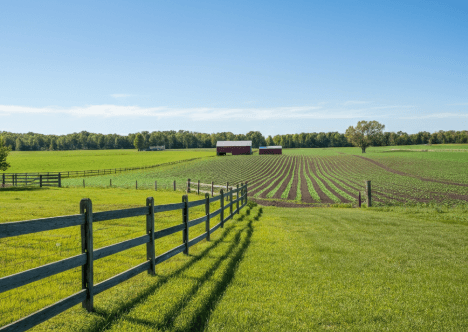 sell farmland in Florida