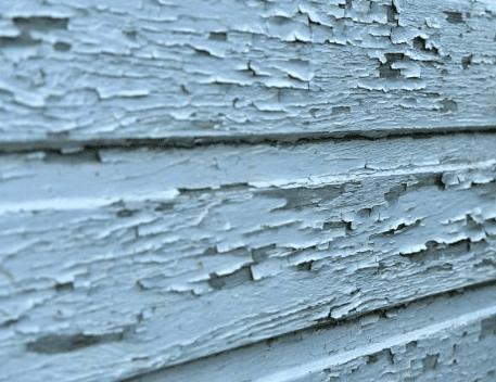 lead based paint law in florida