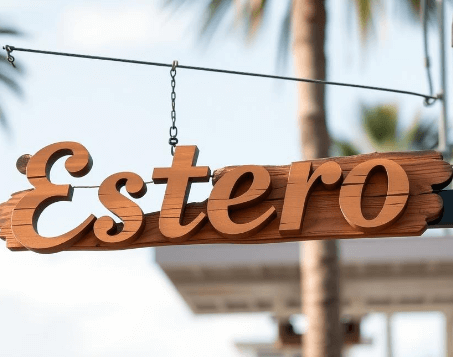 investors are purchasing properties in Estero Florida