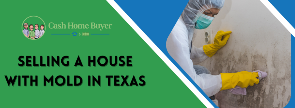 Sell Your Home With Mold in Texas