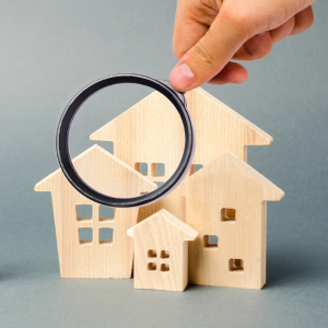 Appraisal and Inspection Costs in Texas Dallas