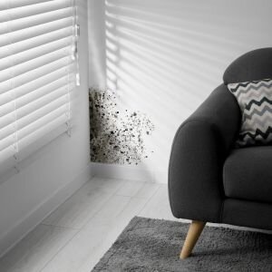 How to Sell a House With Mold Dallas