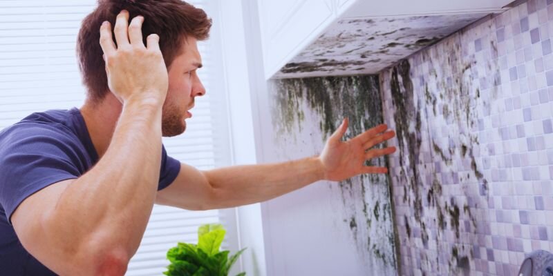 Sell House With Mold Dallas