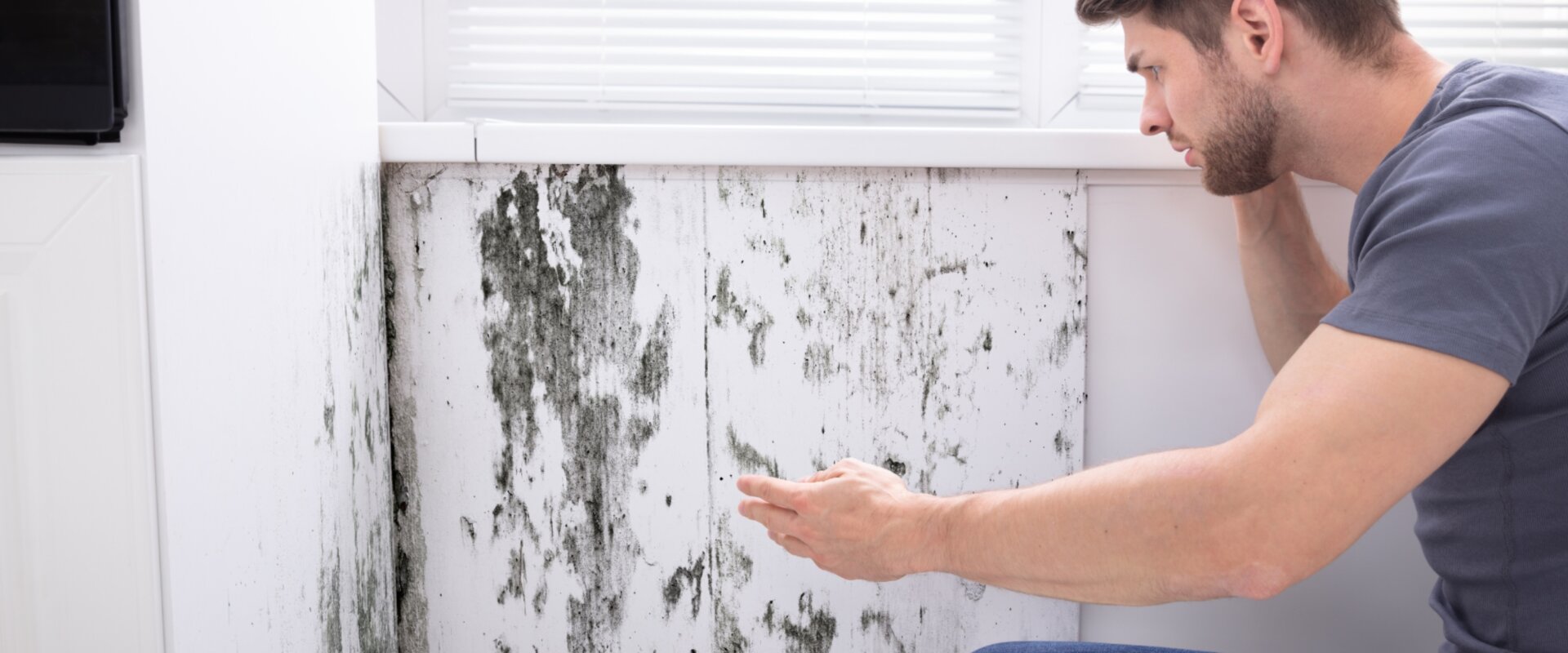 Sell Home ASAP with MOLD sick in Dallas