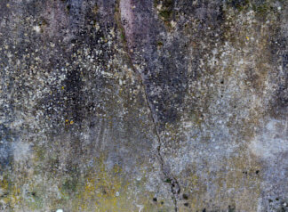 should your foundation be repaired in Texas
