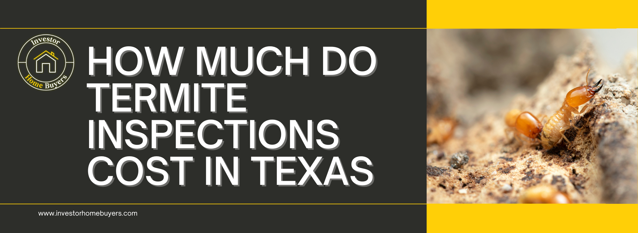 Cost of Termite Inspections In Texas