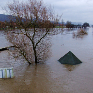 How Much Does a Home’s Value Drop After Flooding in Texas