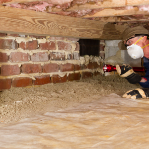 Usual Cost of Termite Inspections In Texas