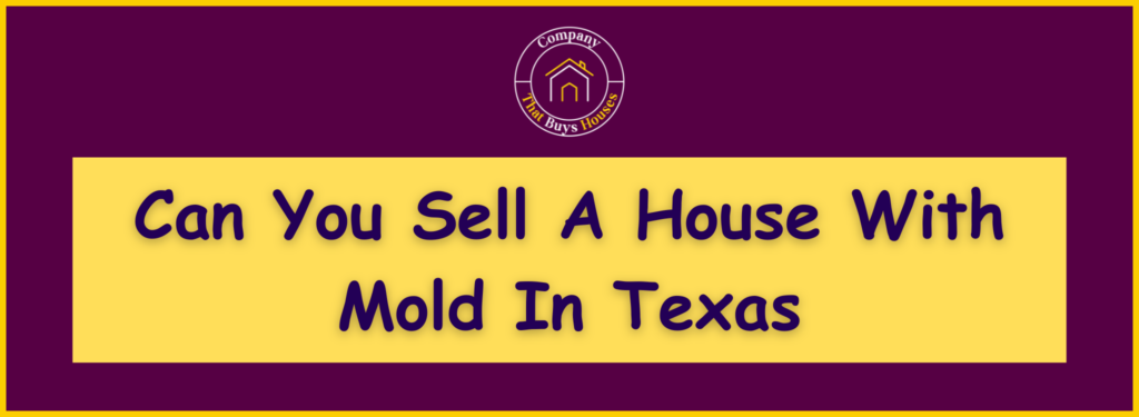 How to Sell a House With Mold in Texas