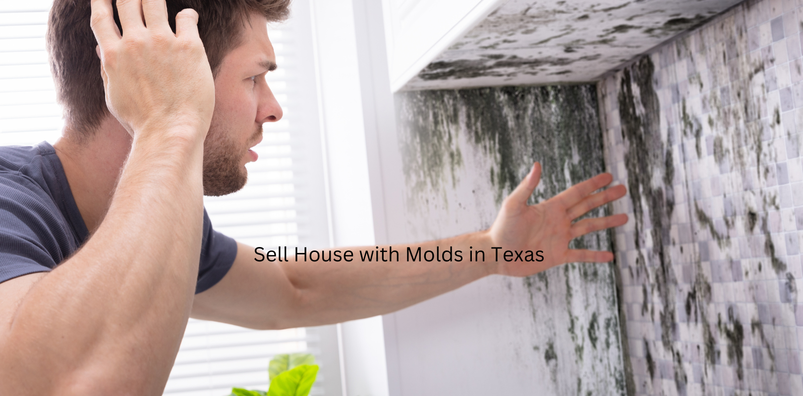 Sell a House Fast With Mold in Texas