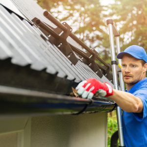 What Determines the Cost to Clean a Hoarder House In Texas