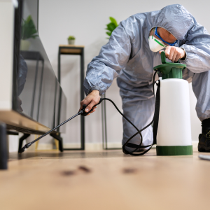 Do I Have to Have a Termite Bond to Sell My Property In Texas