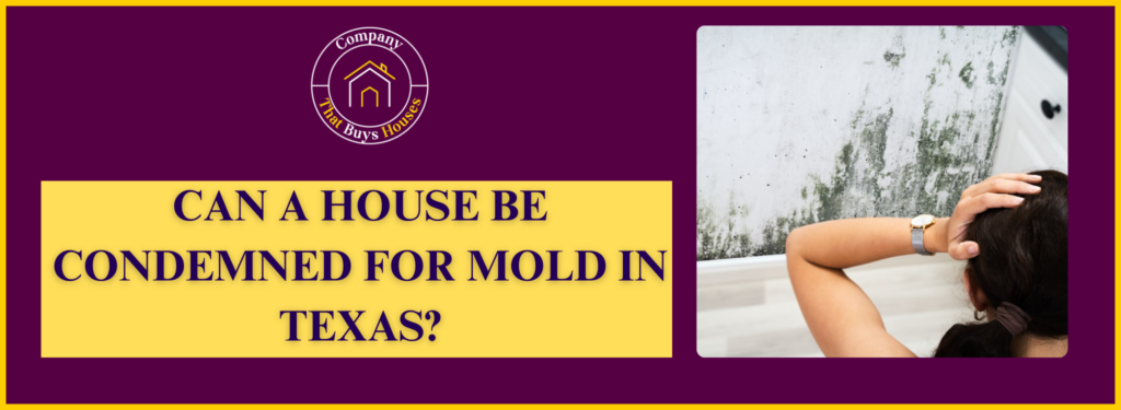 Can A House Be Condemned For Mold In Texas