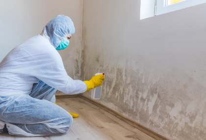 Can A House Be Condemned For Mold In Texas