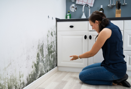 Can A House Be Condemned For Mold In Texas