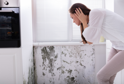 Can A House Be Condemned For Mold In Texas