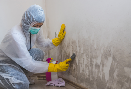 Can A House Be Condemned For Mold In Texas