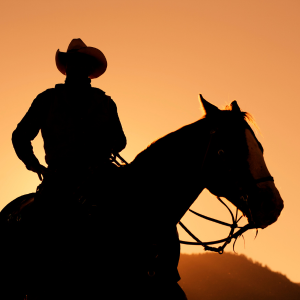 Explore for Free Fort Worth