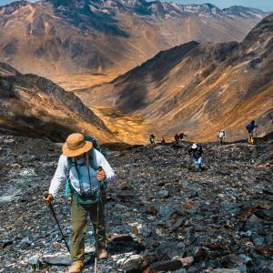 Amazing Facts Mesquite