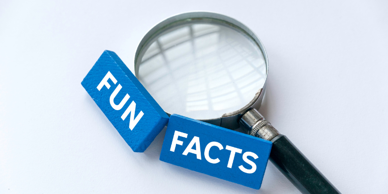 Cool Facts Denton, TX