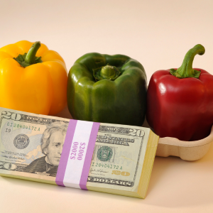 Local living costs Denton