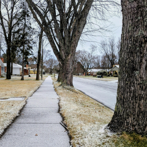 Best and Worst Areas Denton