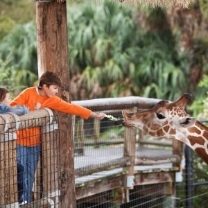 Quick Facts Fort Worth