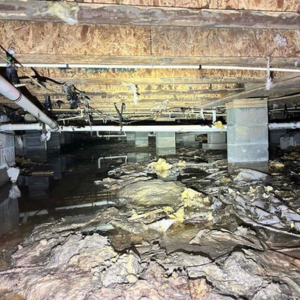 Selling a Property with Water Issues in the Crawl Space Texas